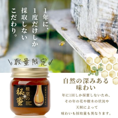 【秘境を味わう】椎葉の秘蜜 【50g×2本】国産天然はちみつ【数量限定】 MS-10