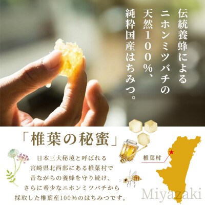 【秘境を味わう】椎葉の秘蜜 【50g×2本】国産天然はちみつ【数量限定】 MS-10