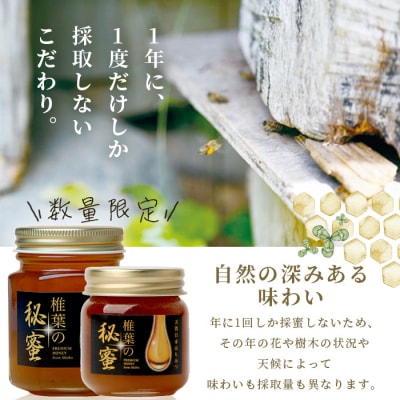 【秘境を味わう】椎葉の秘蜜 【50g×2本,150g×2本の計4本】国産天然はちみつ【数量限定】