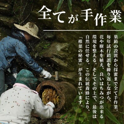 【秘境を味わう】椎葉の秘蜜 【50g×2本,150g×2本の計4本】国産天然はちみつ【数量限定】