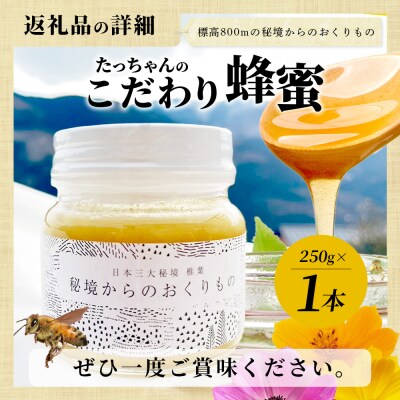 【無添加 非加熱】標高800m たっちゃんのこだわり蜂蜜【250g×1本】TN-01