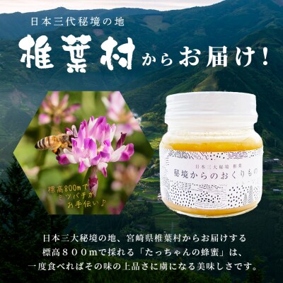 【無添加 非加熱】標高800m たっちゃんのこだわり蜂蜜【250g×1本】TN-01