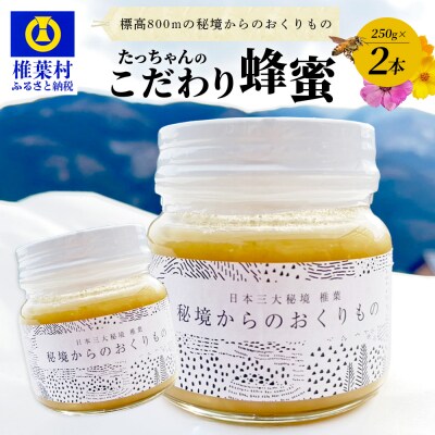 【無添加 非加熱】標高800m たっちゃんのこだわり蜂蜜【250g×2本】TN-02