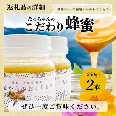 【無添加 非加熱】標高800m たっちゃんのこだわり蜂蜜【250g×2本】TN-02