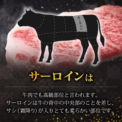 宮崎県産 椎葉牛 サーロインステーキ 200g×2枚 計400g TK-84