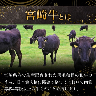 宮崎牛 赤身ももブロック 500g TK-85
