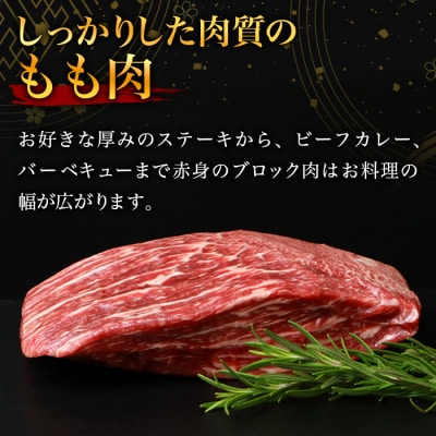 宮崎牛 赤身ももブロック 500g TK-85