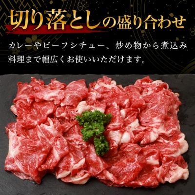 宮崎牛 切り落とし 1kg TK-93