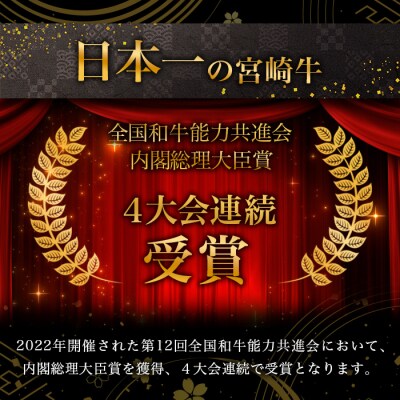 宮崎牛 赤身の角切りコロコロステーキ 500g TK-94