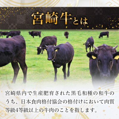 宮崎牛 ローストビーフブロック 400g(100g×4P) お試しソース付き TK-95