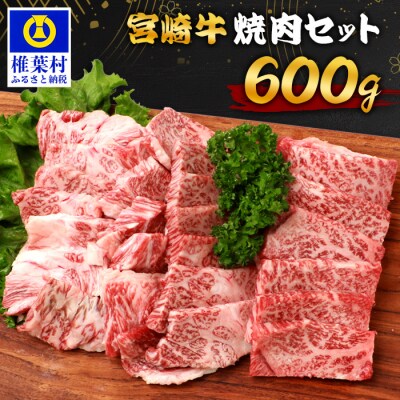 宮崎牛 焼肉セット 600g TK-97