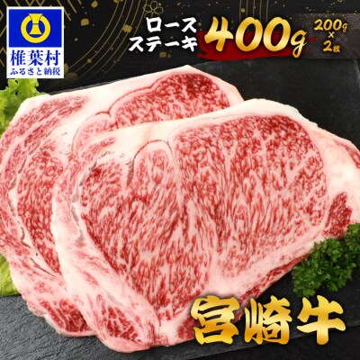 宮崎牛ロースステーキ 400g(200g×2枚) お試しステーキソース付き TK-98