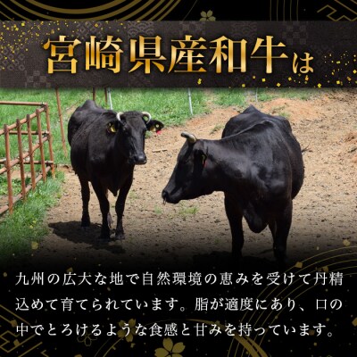 【令和7年9月30日まで受付!】宮崎県産 和牛 切り落とし 900g×2(1,800g) TK-99