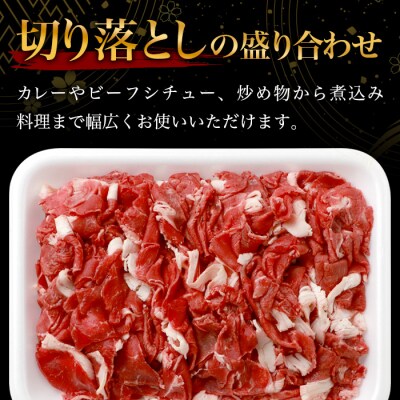 【令和7年9月30日まで受付!】宮崎県産 和牛 切り落とし 900g×2(1,800g) TK-99