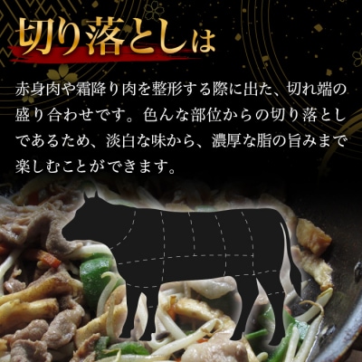 【令和7年9月30日まで受付!】宮崎県産 和牛 切り落とし 900g×2(1,800g) TK-99