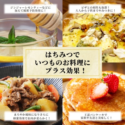 標高800m たっちゃんのこだわり蜂蜜【170g×1本】TN-04