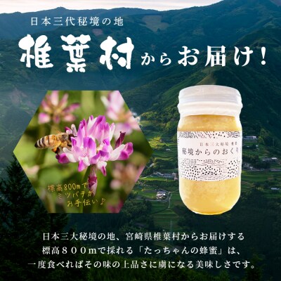 標高800m たっちゃんのこだわり蜂蜜【170g×2本】TN-05