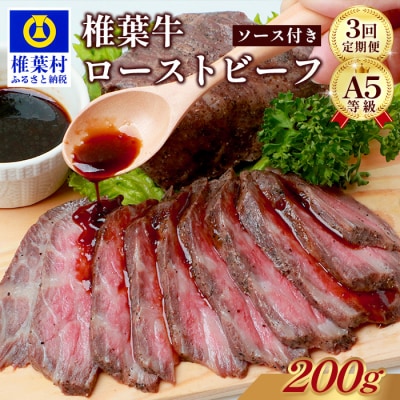 3回定期便 宮崎県産 椎葉牛 ローストビーフブロック 200g(100g×2P)TK-103