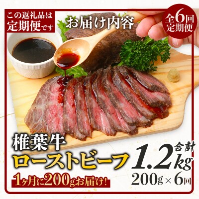 【6回定期便】 宮崎県産 椎葉牛 ローストビーフブロック 200g×6回 計1.2kg TK-106