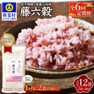 【6回定期便】【雑穀米】藤の花色に染まる美しい六穀米《藤六穀》300g×2袋【TT-15】