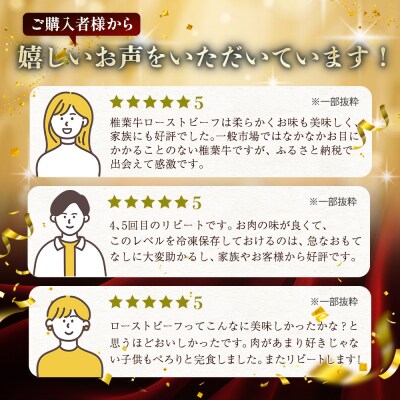 【6回定期便】椎葉牛 ローストビーフブロック 400g(100g×4P)×6回 計2.4kg