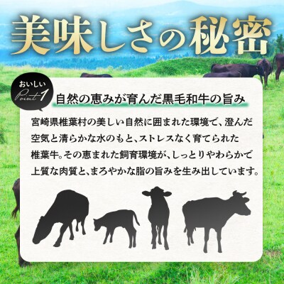 【6回定期便】椎葉牛 ローストビーフブロック 400g(100g×4P)×6回 計2.4kg