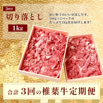 【 定期便 3回 】 総重量 1,900g 牛肉 椎葉牛の スライス肉 & 切り落とし肉 定期便