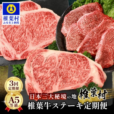 【 定期便 全3回 】 月に1回のお楽しみ! 椎葉牛ステーキ定期便 総重量 1,080g