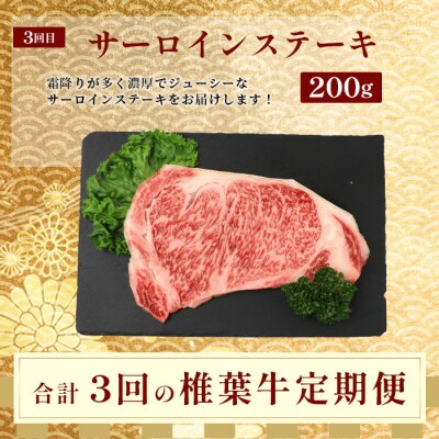 【 定期便 全3回 】 月に1回のお楽しみ! 椎葉牛ステーキ定期便 総重量 1,080g