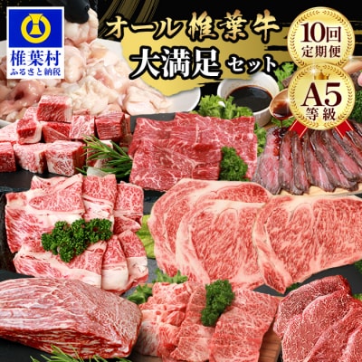 【定期便全10回】10ヶ月連続でお届け! 牛肉 オール椎葉牛大満足セット 総重量 5,180g