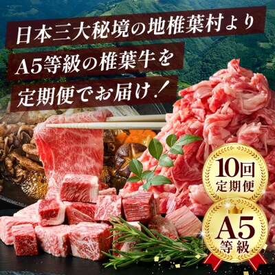 【定期便全10回】10ヶ月連続でお届け! 牛肉 オール椎葉牛大満足セット 総重量 5,180g