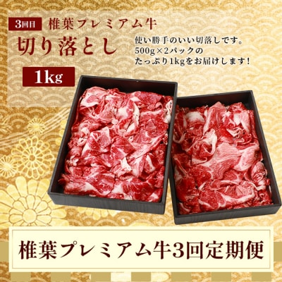 【定期便3回】総重量1,900g 牛肉 椎葉プレミアム牛のスライス肉&切り落とし肉 定期便