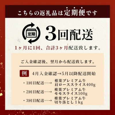 【定期便3回】総重量1,900g 牛肉 椎葉プレミアム牛のスライス肉&切り落とし肉 定期便