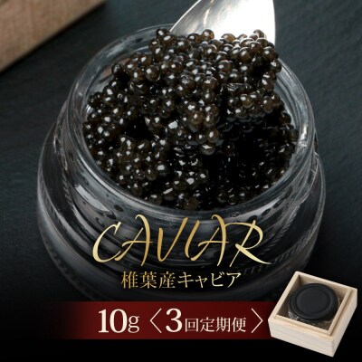 〈3回定期便〉【桐箱入り】キャビア 10g × 3回配送 計30g【世界三大珍味×日本三大秘境】
