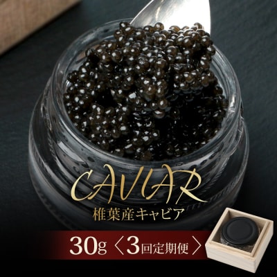 〈3回定期便〉【桐箱入り】キャビア 30g × 3回配送 計90g【世界三大珍味×日本三大秘境】