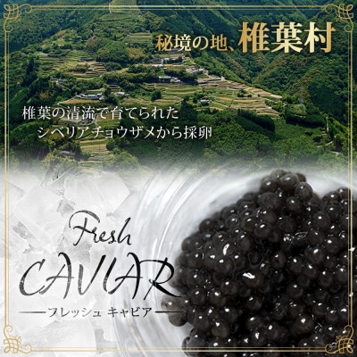 〈6回定期便〉【桐箱入り】キャビア 30g × 6回配送 計180g【世界三大珍味×日本三大秘境】