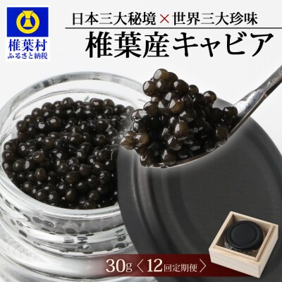 〈12回定期便〉【桐箱入り】キャビア 30g × 12回配送 計360g【世界三大珍味×日本三大秘境