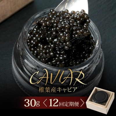 〈12回定期便〉【桐箱入り】キャビア 30g × 12回配送 計360g【世界三大珍味×日本三大秘境