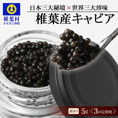 【3回定期便】【訳あり】国産キャビア HEIKE CAVIAR 5g × 3回 計15g