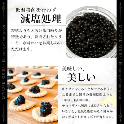 【3回定期便】【訳あり】国産キャビア HEIKE CAVIAR 5g × 3回 計15g
