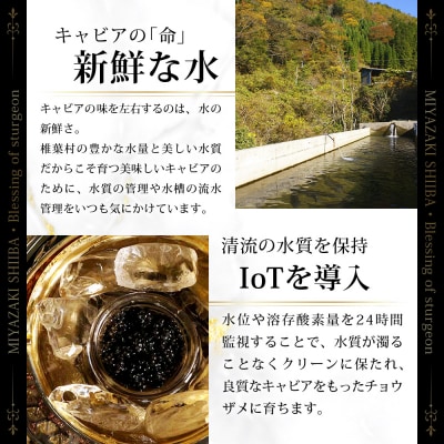 【3回定期便】【訳あり】国産キャビア HEIKE CAVIAR 5g × 3回 計15g