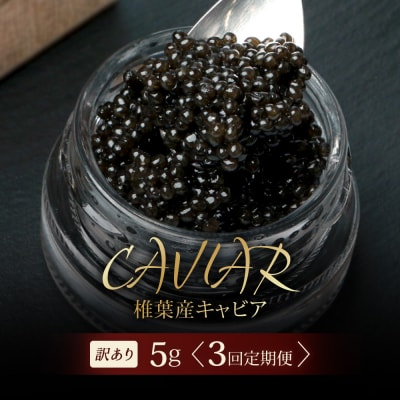 【3回定期便】【訳あり】国産キャビア HEIKE CAVIAR 5g × 3回 計15g
