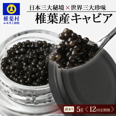 【12回定期便】【訳あり】国産 キャビア HEIKE CAVIAR 5g × 12回 計60g