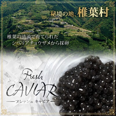 【3回定期便】【訳あり】国産 キャビア HEIKE CAVIAR 10g × 3回 計30g