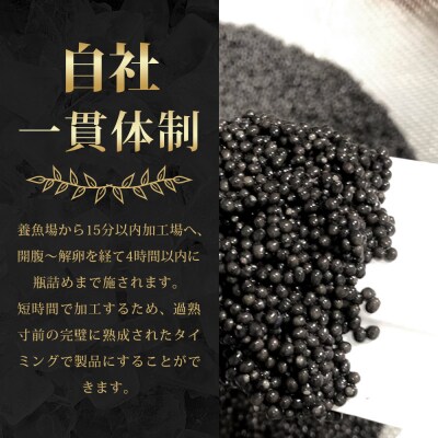 【6回定期便】【訳あり】国産 キャビア HEIKE CAVIAR 10g × 6回 計60g