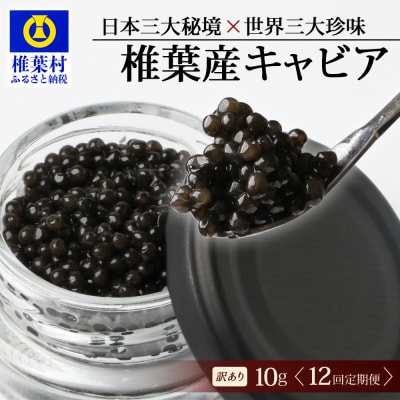 【12回定期便】【訳あり】国産 キャビア HEIKE CAVIAR 10g × 12回 計120g