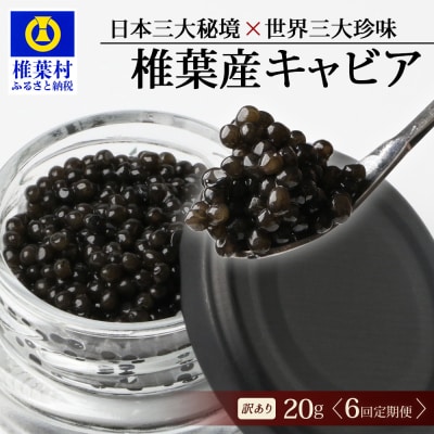 【6回定期便】【訳あり】国産 キャビア HEIKE CAVIAR 20g × 6回 計120g