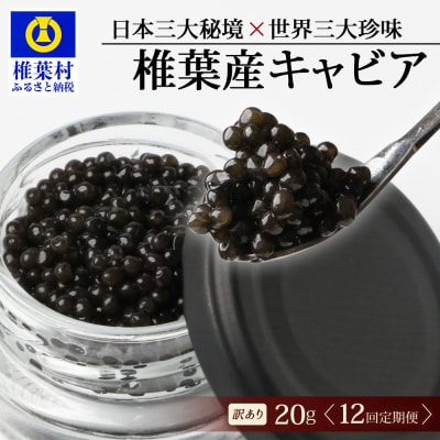 【12回定期便】【訳あり】国産 キャビア HEIKE CAVIAR 20g × 12回 計240g