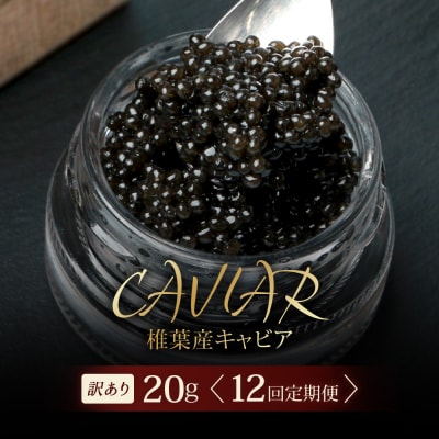 【12回定期便】【訳あり】国産 キャビア HEIKE CAVIAR 20g × 12回 計240g