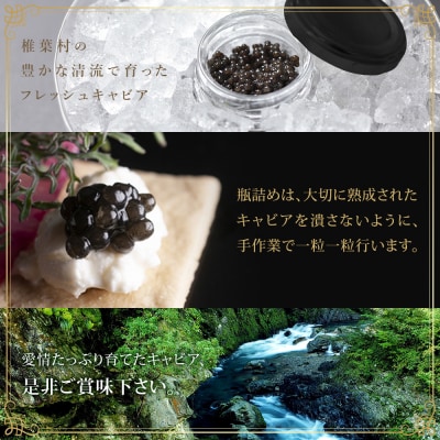 〈3回定期便〉【桐箱入り】キャビア 5g × 3回配送 計15g【世界三大珍味×日本三大秘境】